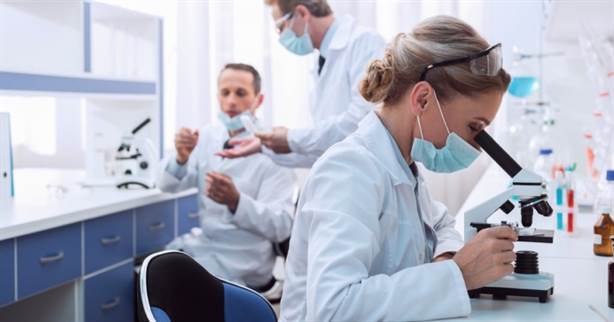 jesu li ftalati štetni za ljude